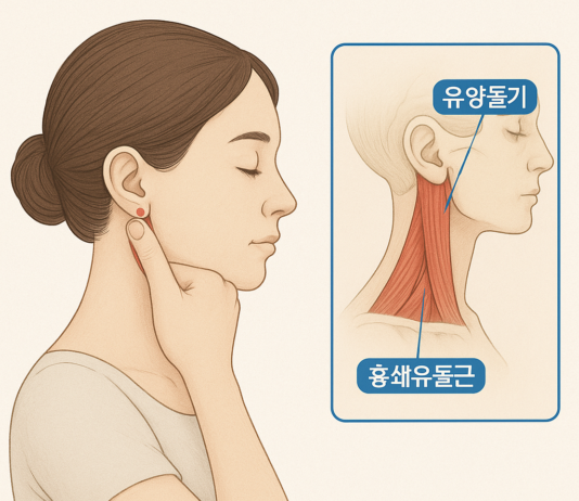 장마와 내 몸의 이야기