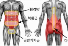 코어 근육이 뭐길래?
