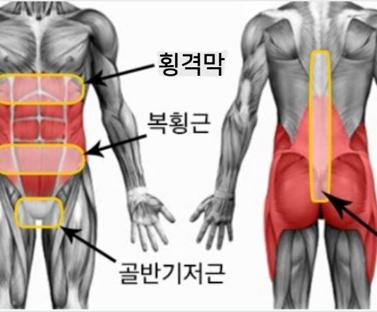 코어 근육이 뭐길래?
