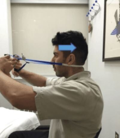 목과 척추를 지지하고 있는 근육 이야기